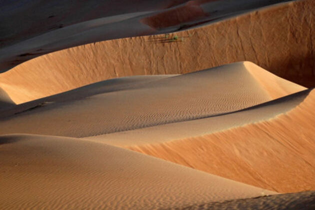 Le désert du Wahiba