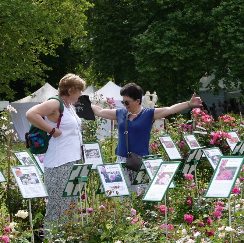 Les journées de la rose 2023