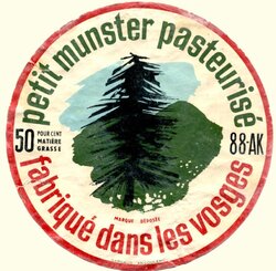 Munster des années 1971-1990