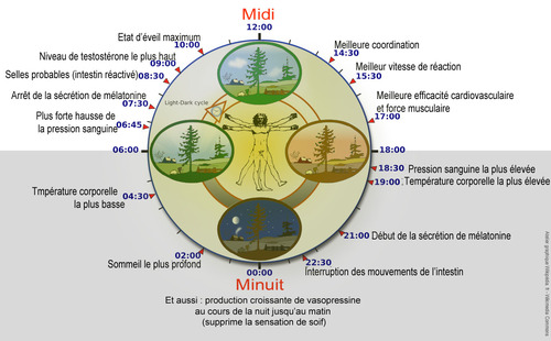 Rien ne sert de courir ... il faut partir plus tard !