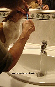 Lili-se-lave-les-dents.jpg