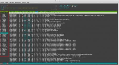 Utilisation du moniteur système HTOP