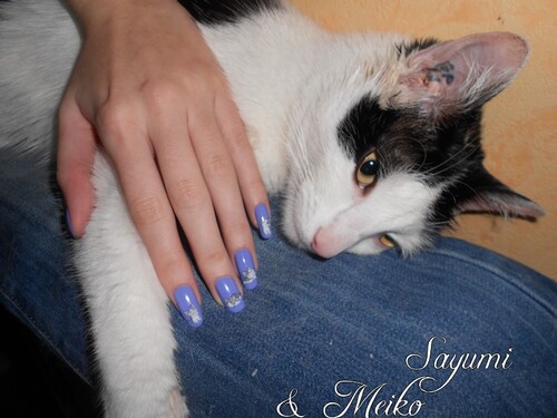 Nail Art WD Chatons mignons ♥