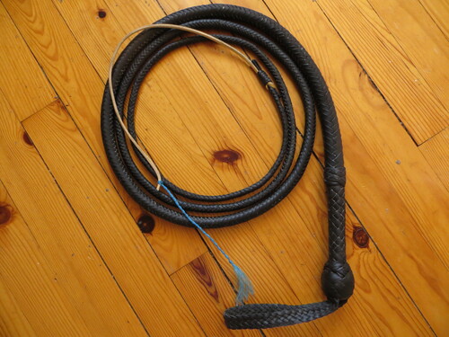 10ft black indy bullwhip terminé