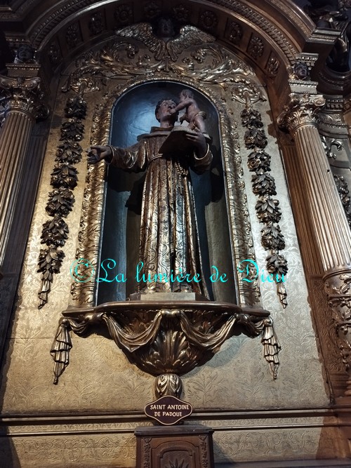 Antibes, la cathédrale Notre-Dame de l'Immaculée Conception