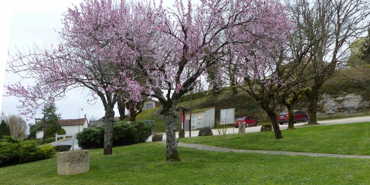 Une courte promenade avec Cadix.