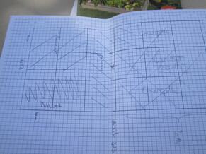 Le potager en rectangles