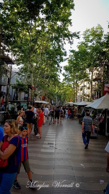 Barcelone : Pedrera, Rambla, Cathédrale etc