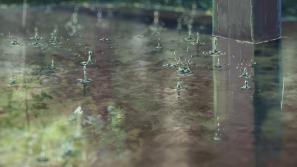 The Garden of Words