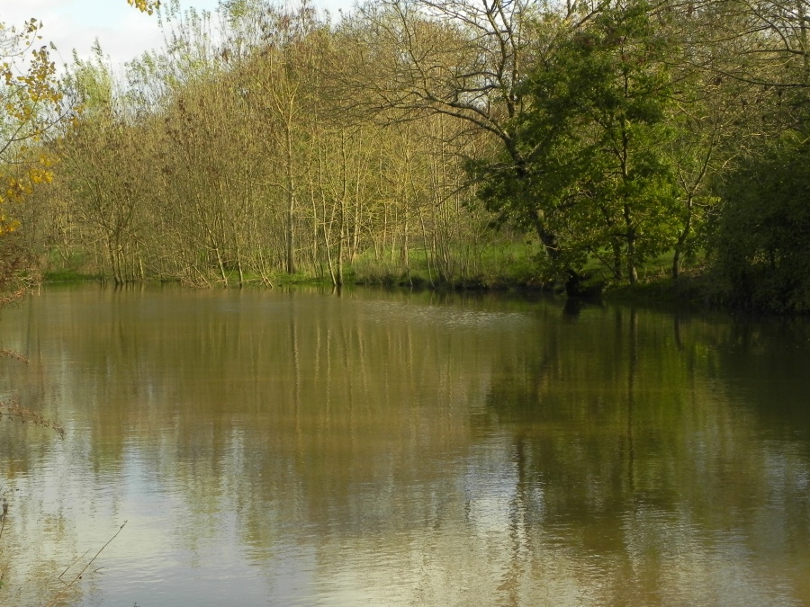 le lac à Saint Philbert de Grand-Lieu