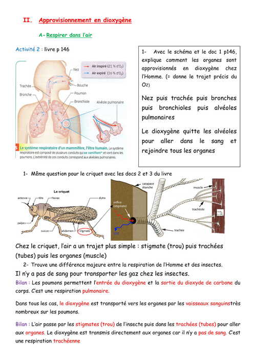 chapitre 7 sur la respiration cellulaire Correction