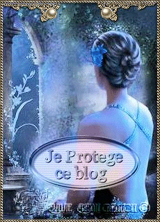 Protèges blogs série 14