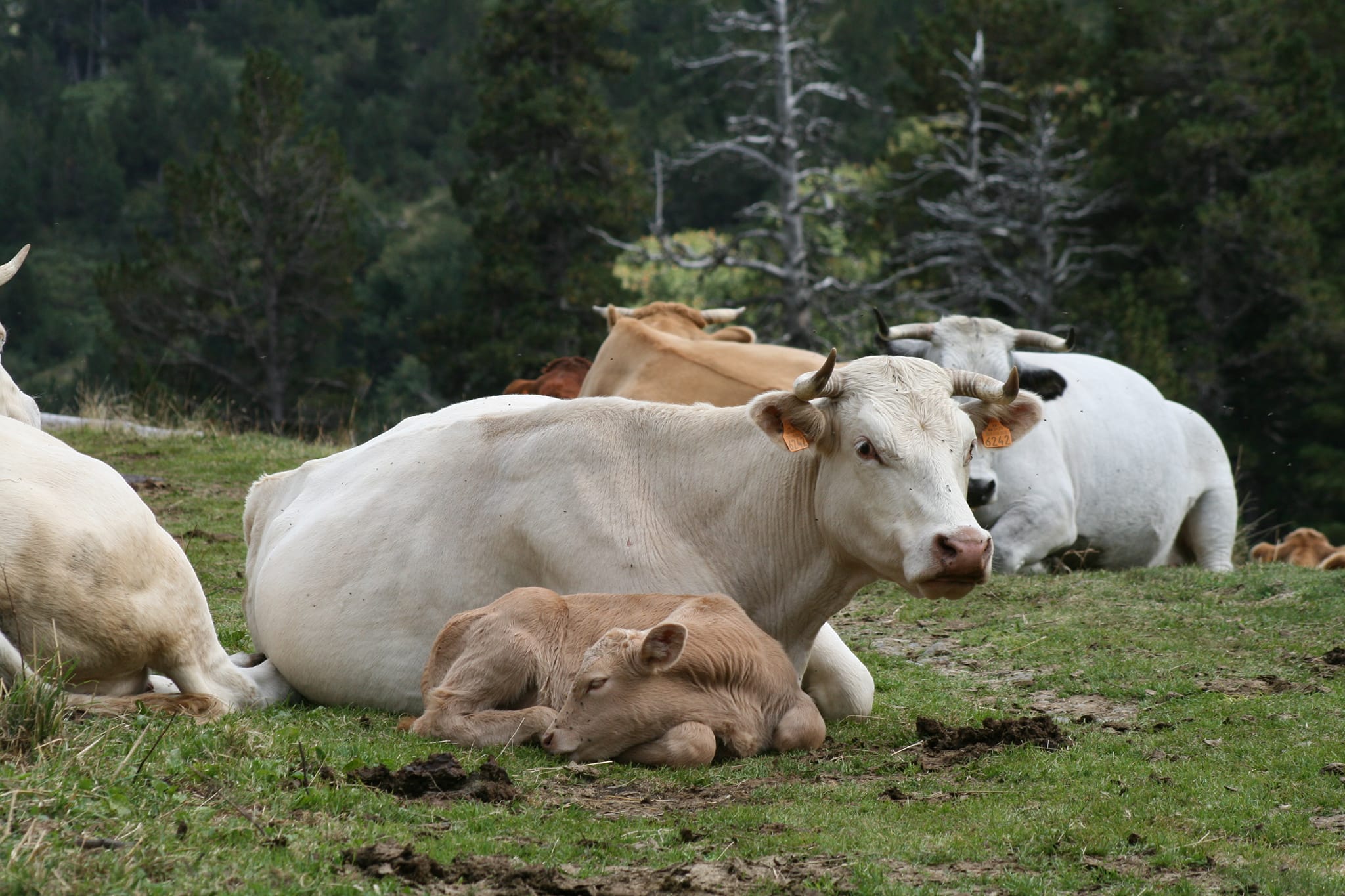 Aucune description de photo disponible.