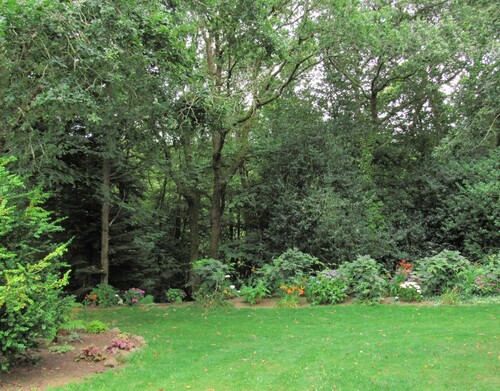 Jardin d'ailleurs...  chez Vincent et Pascal: Un jardin à Landrévarzec