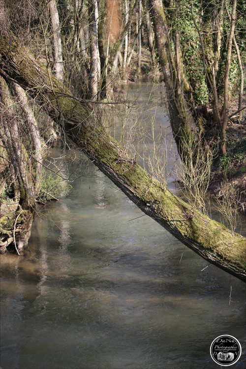 Longwe, le ruisseau