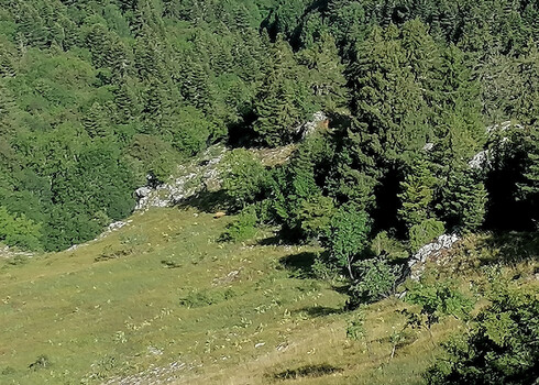 Col des Prés, le 03-08-2023