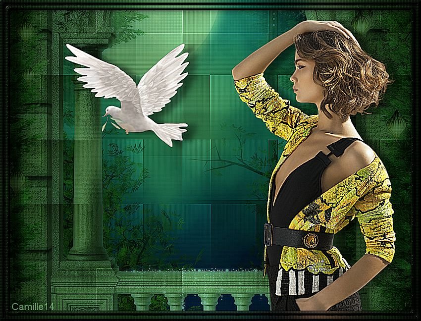 Virginia - Page 4 191101110142554163