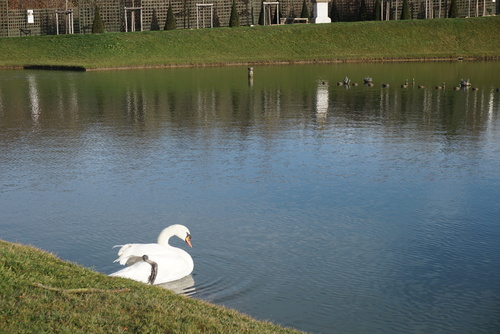 Et si Versailles m'était conté en hiver