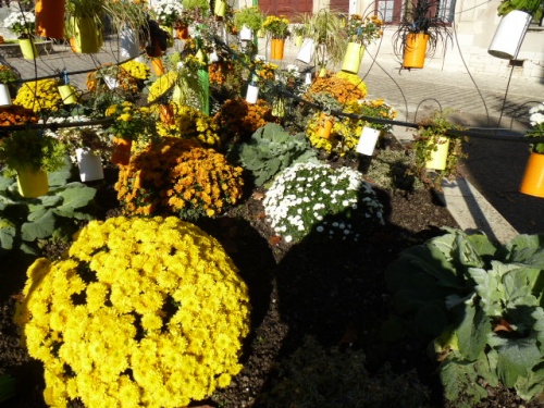 COULEURS D'AUTOMNE A BEAUGENCY