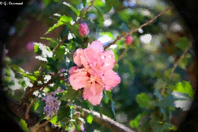 Fleur à l'aquarelle 