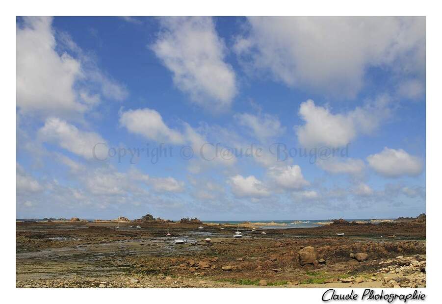 Plougrescant - Côtes d'Armor - Bretagne - 13 Mai 2014