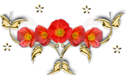 Séparations Or et Coquelicots