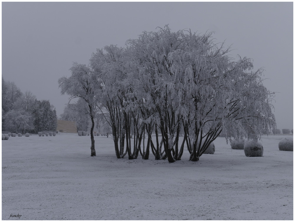 Verdun, les champs de bataille sous la neige