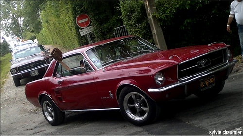 Ford Mustang à Mamers (72)  2012 