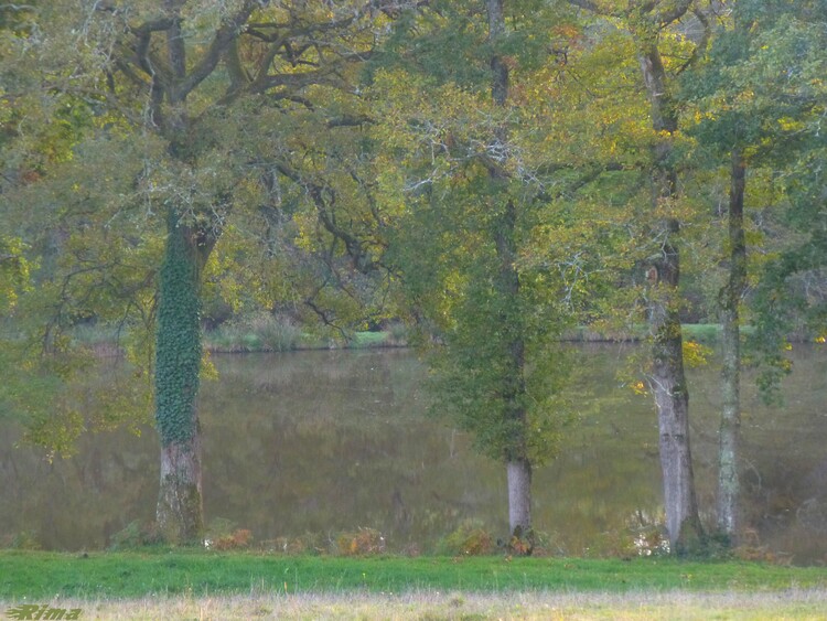 En allant vers les grangettes 