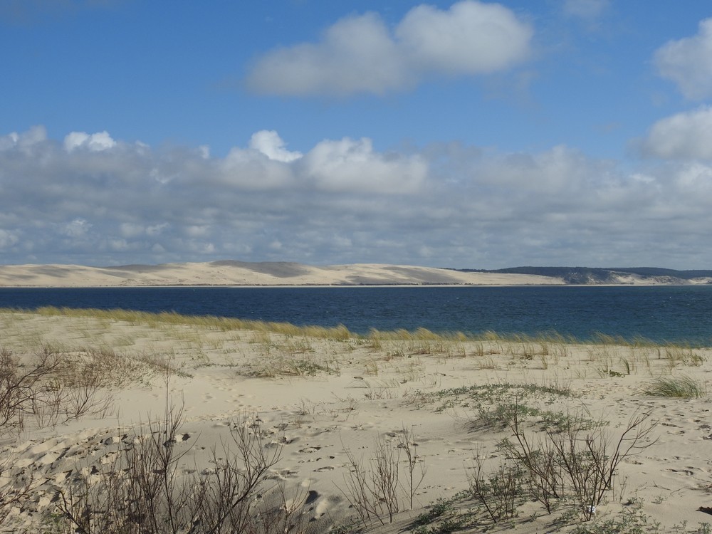 Balade à la Pointe du Cap-Ferret en avril 2018...