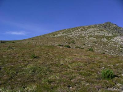 LE PIC DE LA SABINE 2561 M