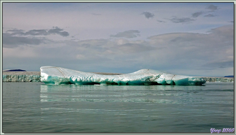 Glacier au front d'une incroyable couleur turquoise et iceberg non moins coloré - Bethune Inlet - Devon Island - Nunavut - Canada