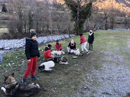 Une journée qui a du chien!