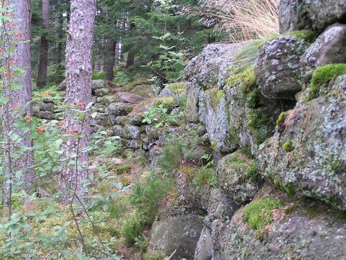 Mont Sainte Odile (fin).