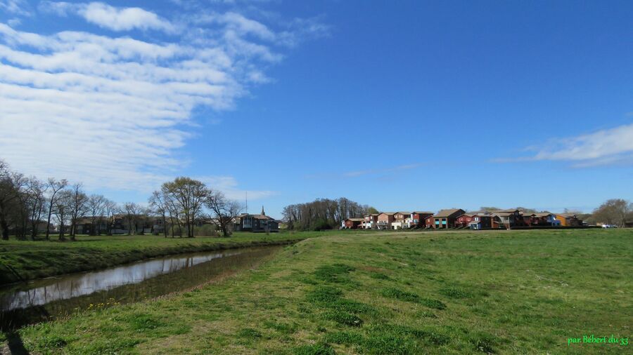 le Teich en Gironde (33) -2
