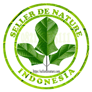 Pt-de-nature-Indonesia-terletak-di-kabupaten-Cilacap,-Jawa-Tengah