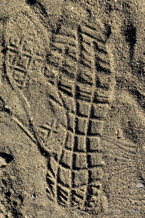 Des traces sur le sable !