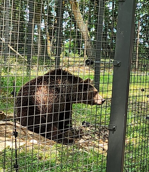 Sortie au parc Zoodyssée