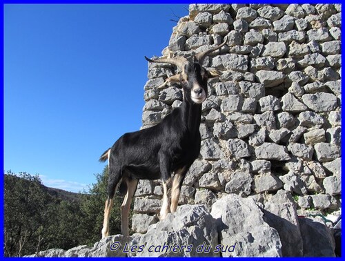 Les basses gorges du Verdon