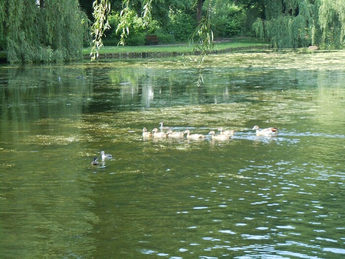 Un nouveau parc !