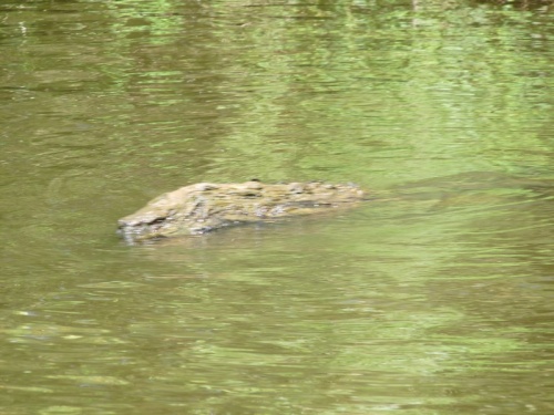 Cent miles sur la Loire.