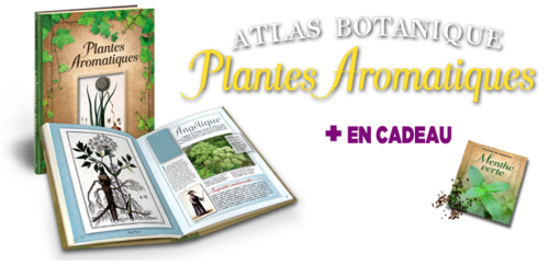 Nouvelle collection : Atlas botanique