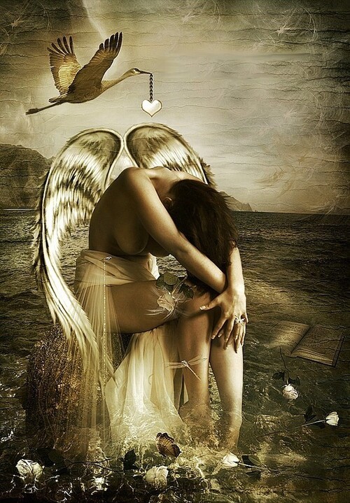 Belles images d'Anges (4)