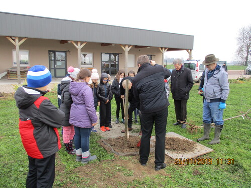 Plantations au verger