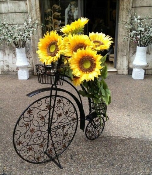 Vélos fleuris(2)