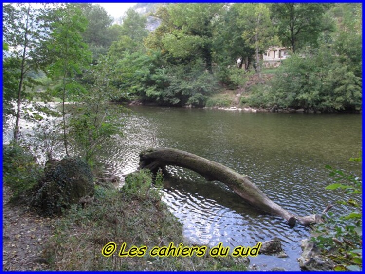 Gorges du Tarn, de Ste Enimie à Castelbouc