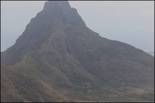 Corail hélicoptère, île Maurice 2024. (4)