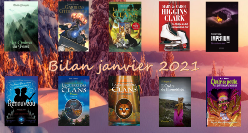 Bilan janvier 2021