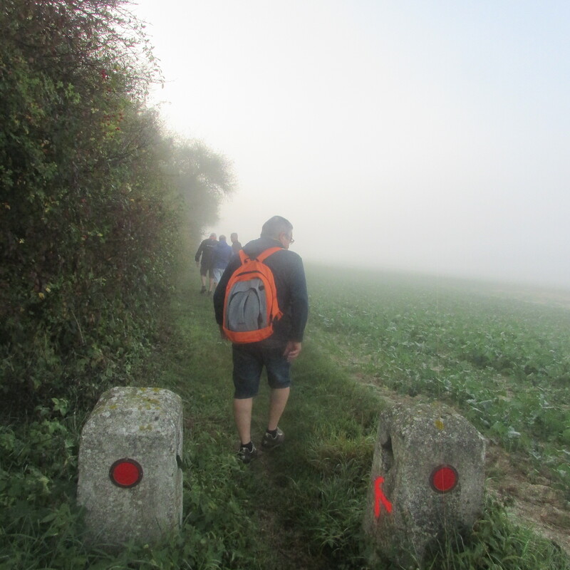                            hier matin marche de 9km 900 sous le brouillard