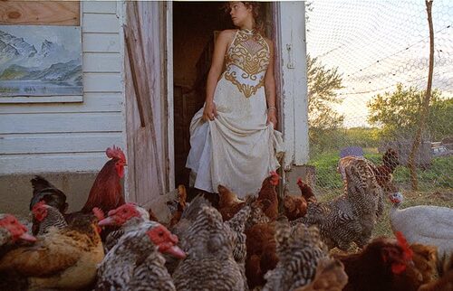 03 - Les poules et les dames